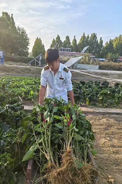 衡水东收费站党支部“南泥湾”小菜园喜获丰收 (2).jpg